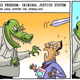 Legal support for journalists | Cartoon